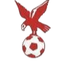 https://img.linyiyuntong.com/img/football/team/4802d26df935b78bb2fcdbbff36e8864.png